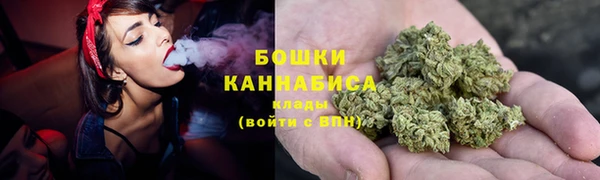 PSILOCYBIN Вязники
